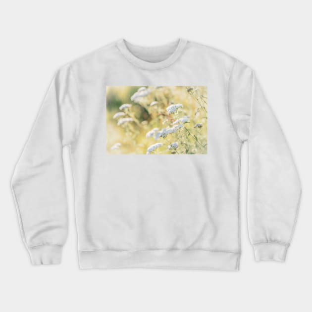 White Yarrow Flowers and Golden Grasses Glowing in Sunshine Crewneck Sweatshirt by Amy-K-Mitchell